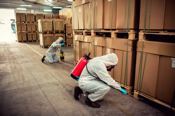 Best Cockroach Control Services  in Groveland, ID