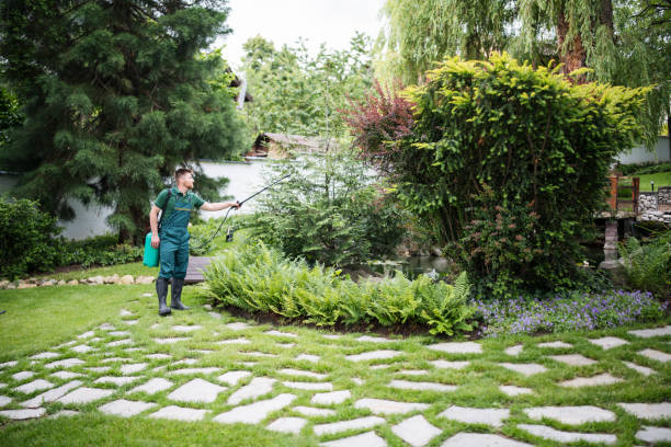 Best Emergency Pest Control  in Groveland, ID