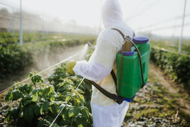 Groveland, ID Pest Control Company